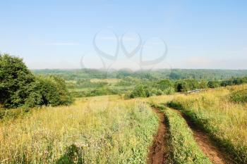 country road on outskirts of village in summer day, Russia