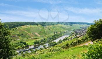 riverside of Moselle river with vineyards on green hills, Germany