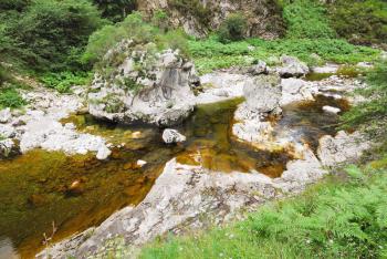 small river in mountain national park Picos de Europa, Asturias, Spain