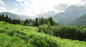 green meadow in Dolomites mountains in summer day, Italy