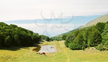 country landscape in Monte Baldo mountains in summer day, Lake garda region, Alps, Italy