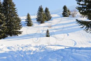 downhill skiing tracks in snow forest on mountain in Portes du Soleil region, Morzine - Avoriaz, France
