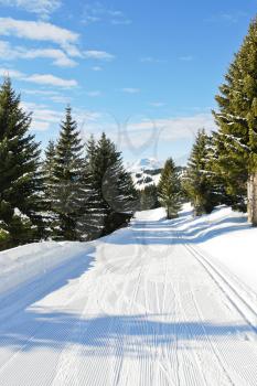 ski run in snow forest on mountain in Portes du Soleil region, Morzine - Avoriaz, France