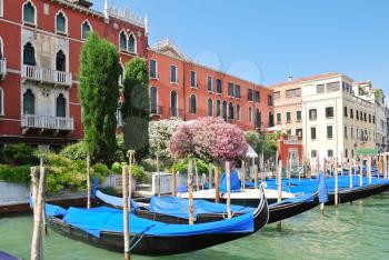 parking of gondolas near Ponte di Rialto in Venice, Italy