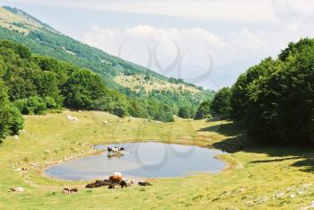 rural scenery in Monte Baldo mountains in summer day, Lake garda region, Alps, Italy