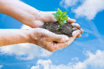 farmer hands with handful soil and green sprout on blue sky and white clouds background