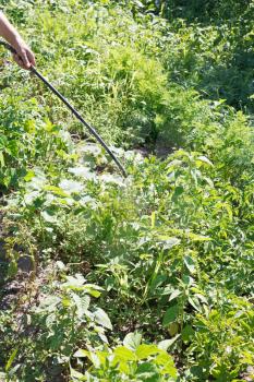 spraying of pest-killer on country garden in summer