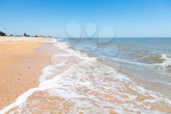 sand and seashells beach of Sea of Azov in resort village Golubickaya, Taman Peninsula, Russia