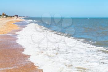 sand and seashells beach of Sea of Azov in resort settlement Golubickaya, Taman Peninsula, Russia