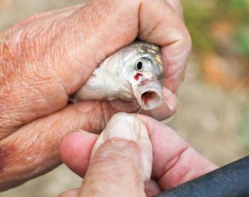 fisherman pulls out fish hook from fish's mouth close up