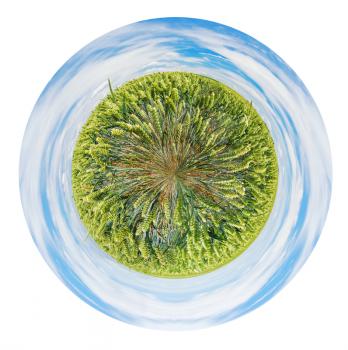 little planet - spherical view of rural field of green rye in France isolated on white background