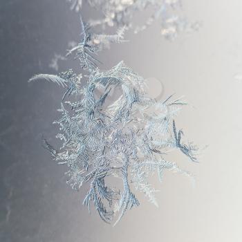 snowflake closeup on window pane in cold winter evening