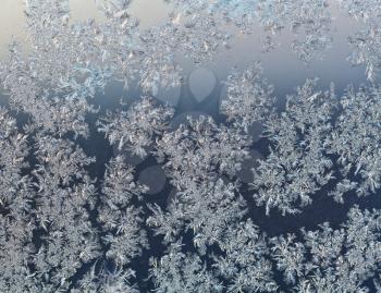 frozen snowflakes on windowpane close up at early winter dawn