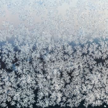 hoar frost on window pane on frosty winter evening