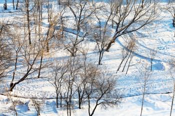 above view of snowy urban park in winter morning