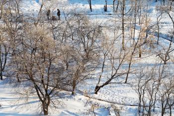 above view of snowy urban park in sunny winter day