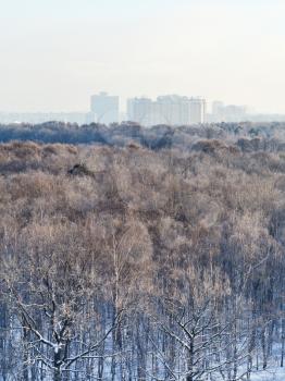 first warm sun rays illuminate frozen woods in winter, Moscow