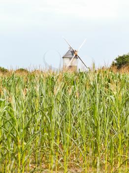 windmill in cornfield in Briere region, France