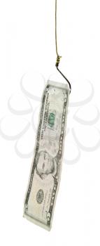 fishing with 5 dollars banknote lure on fishhook isolated on white background