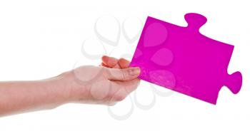 female hand holding big pink paper puzzle piece isolated on white background