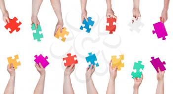 set of color puzzle pieces in people hands isolated on white background