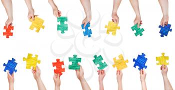 set of painted puzzle pieces in people hands isolated on white background