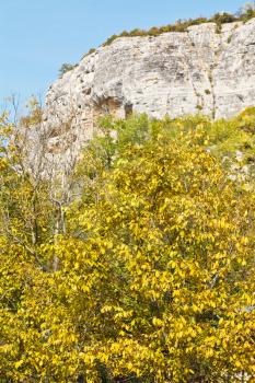autumn tree in gorge mariam-dere in Crimean mountains