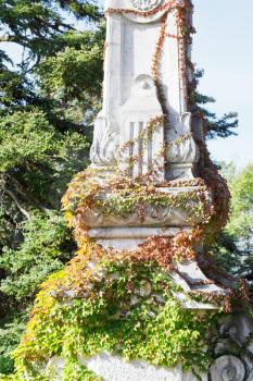 ivy-covered column in garden of Massandra Palace in Crimea