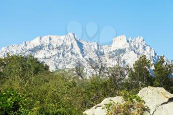 view of Ai-Petri mountain from Alupka garden, Crimea