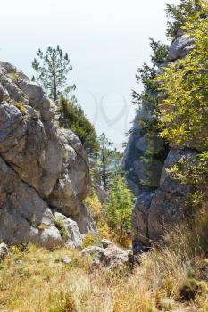 gorge in Ai-Petri rocks on Black Sea coast in autumn, Crimea