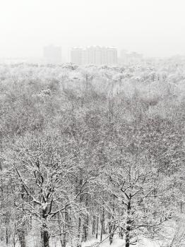 above view of snow woods and urban houses in winter snowfall