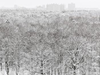 above view of snow forest and urban buildings in winter snowfall