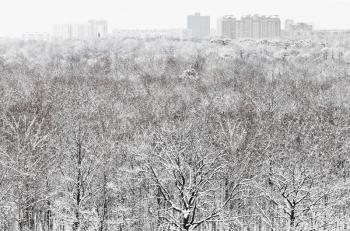 above view of snow forest and city in winter snowfall
