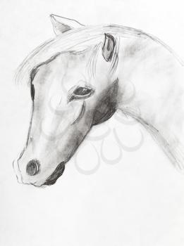 child's drawing - horse head by black pencil