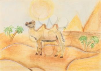 child's drawing - bactrian camel in hot desert under the scorching sun