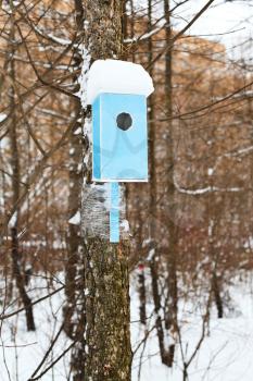 birdhouse with snowdrift on tree trunk in urban park in winter