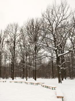 snow covered benches on glade of urban park in winter