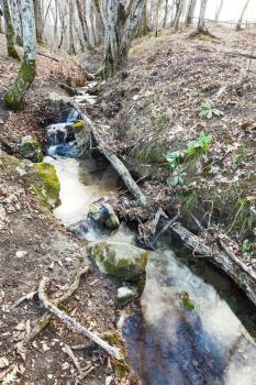 stream in mountain forest in spring in caucasus mountain