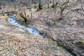 mountain landscape with stream in woods in spring in caucasus