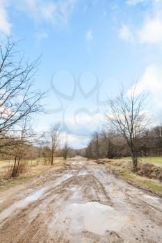 dirty country road with puddles in early spring day