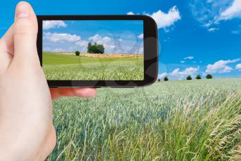 travel concept - tourist taking photo of summer country landscape with wheat fields in France on mobile gadget
