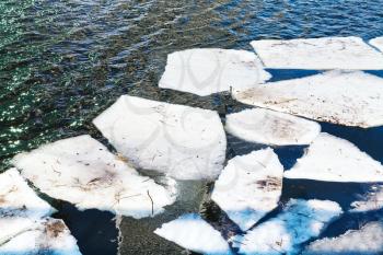 melting ice floes in river in sunny spring day