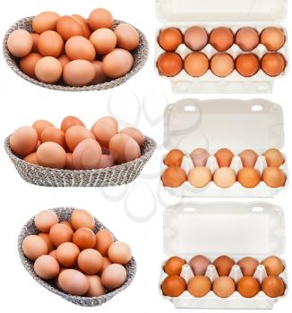 set of chicken eggs in containers and baskets isolated on white background