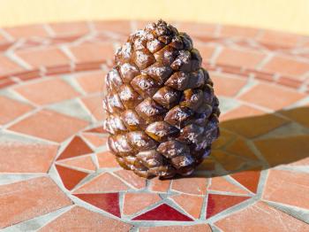 sicilian pine cone on mosaic stone table
