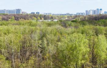 green forest with lake and city in spring day