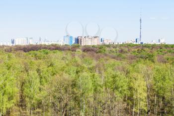 city and green forest in sunny spring day