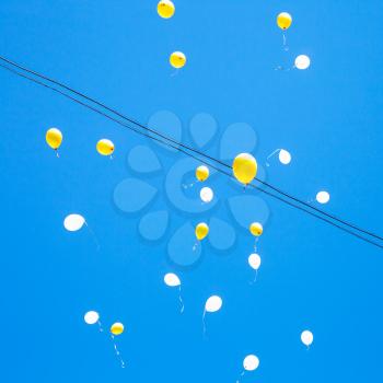 toy balloons float in blue sky in city