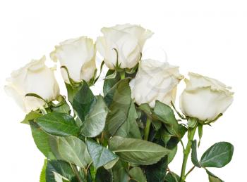 side view of bouquet of white roses isolated on white background