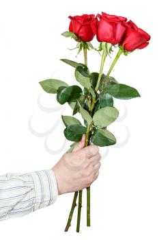 male hand giving bouquet of three red roses isolated on white background