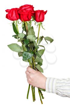 male hand giving bouquet of five red roses isolated on white background